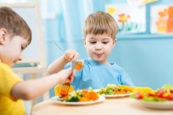 What Constitutes a Balanced Meal?